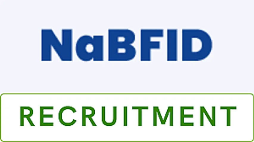 Jobs in Mumbai: NaBFID Recruitment 2024 – Executive Vice President Vacancy